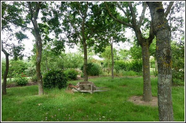 sous-bois-brouette-copie-1.jpg