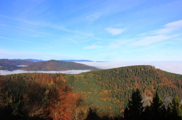 Mont-Ste-Odile 9507 (FILEminimizer)