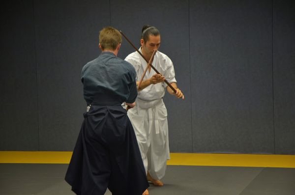 Tamaki Albi 2014 DSC 0585