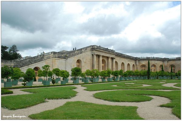 Versailles Orangerie 1