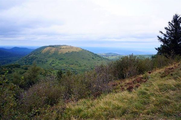 07 (Large)