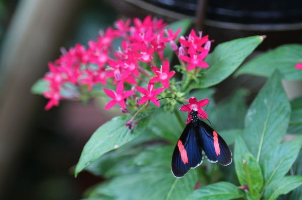 test-473.JPG