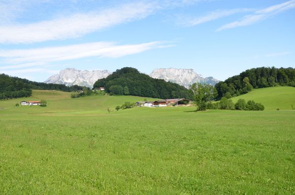 263.JPG