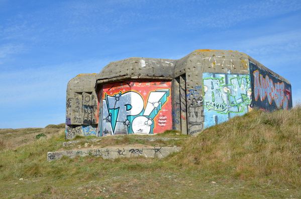 B43-7696.JPG