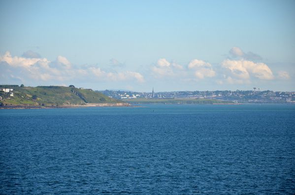 103.JPG