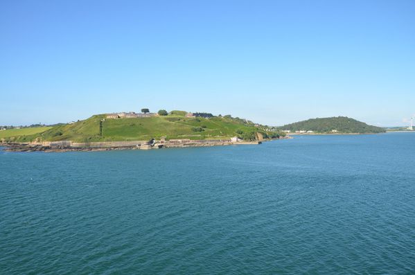 131.JPG