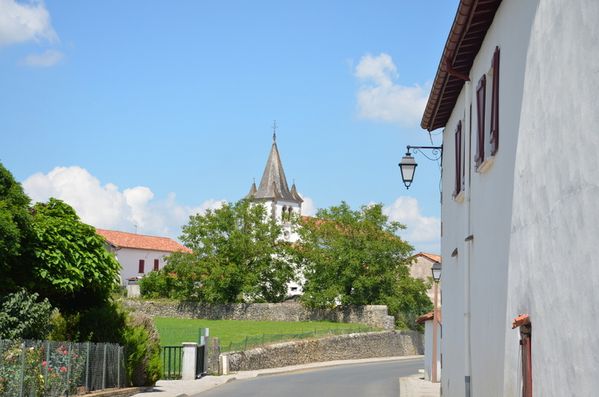 C15-4726.JPG