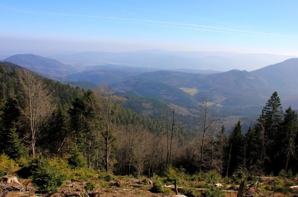 Le-schneeberg 2236