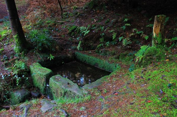 Mont-Ste-Odile 9733 (FILEminimizer)