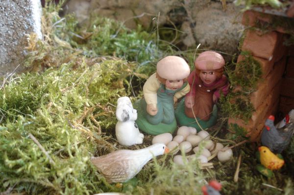 La ferme aux poules 009