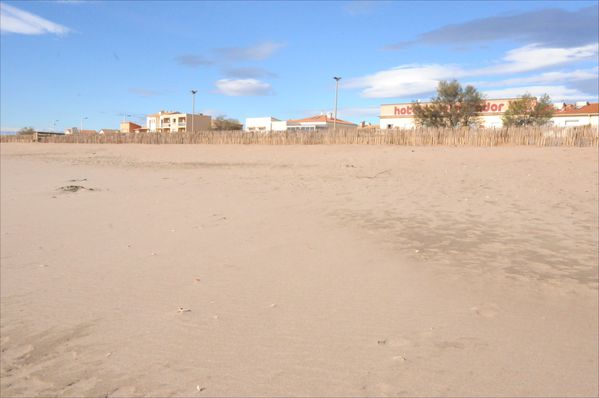 Plage-au-printemps.jpg