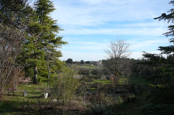 P1080538.JPG
