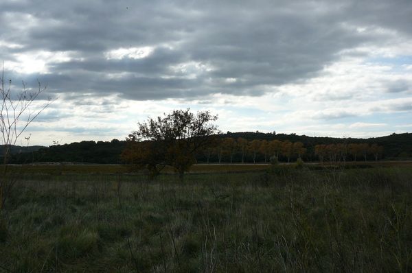 P1080250.JPG