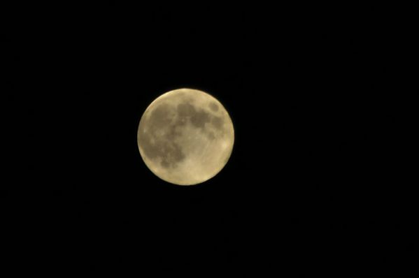 DSC055025PO