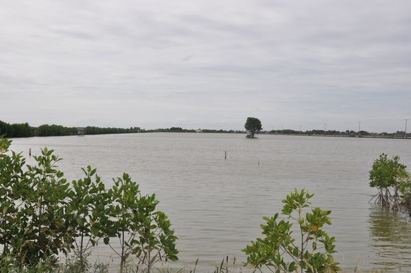 Dolphin point Bangkok