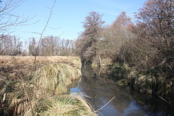 4640-La-reserve-naturelle-de-Bruges.jpg