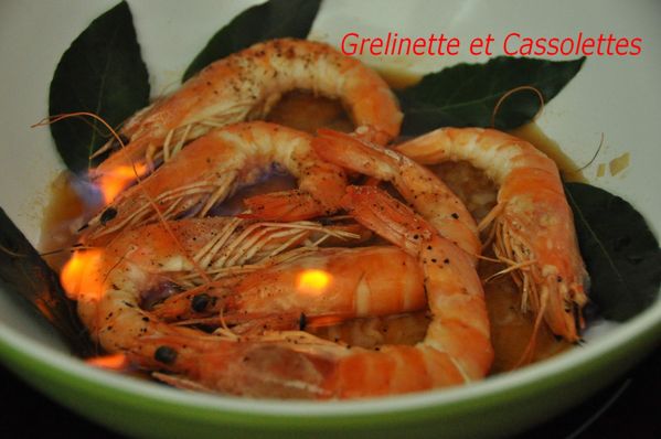 Gambas_T.jpg