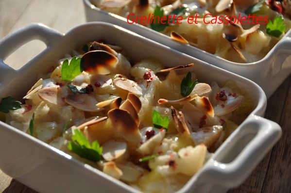 Gratin_T.jpg