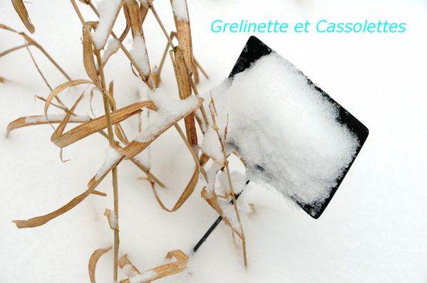 EtiquetteT