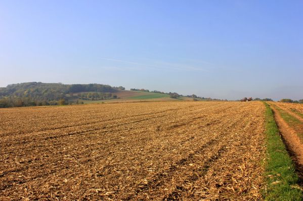 Goeftberg 0431