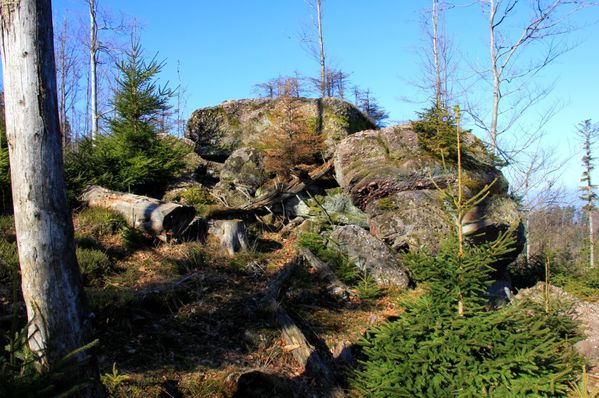 Le-schneeberg 2094