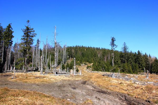Le-schneeberg 2207