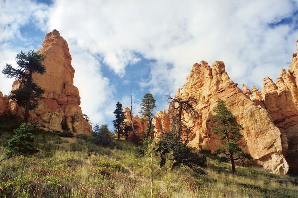 Bryce Canyon 0310