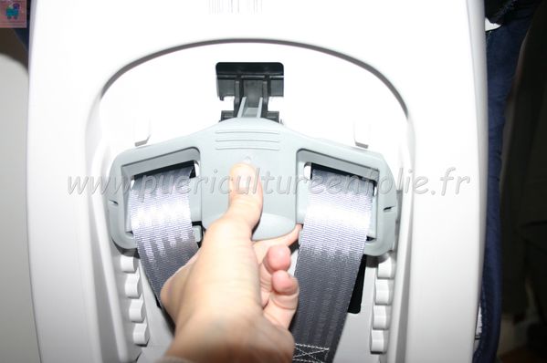 TSR Watermark - 0540