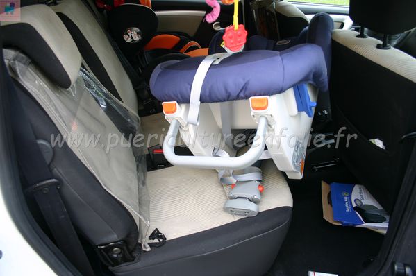TSR Watermark - 0561