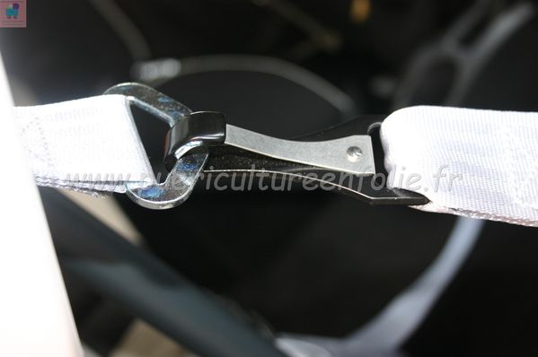 TSR Watermark - 0568