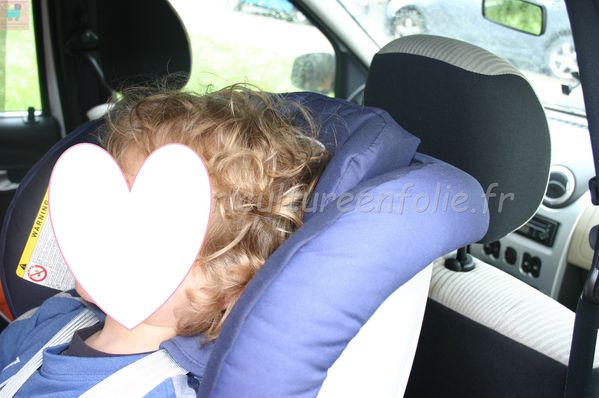 TSR Watermark - 0572