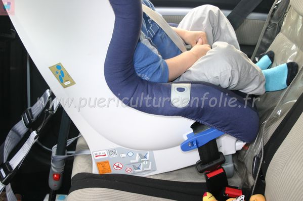 TSR Watermark - 0576