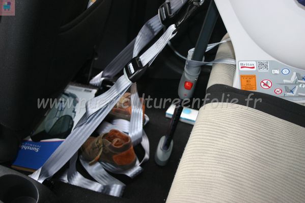 TSR Watermark - 0580