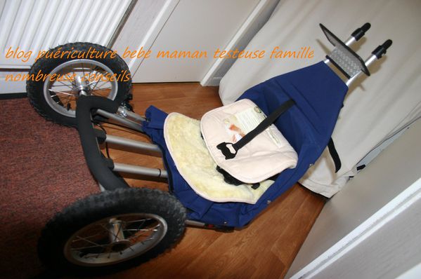 Easy-Walker-Classic 0115