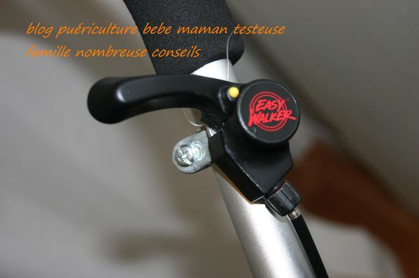 Easy-Walker-Classic 0158
