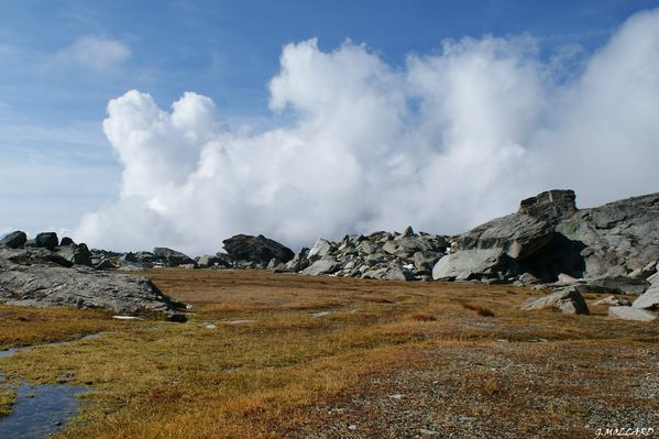 DSC06136