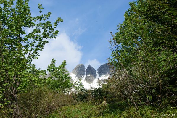 DSC02780
