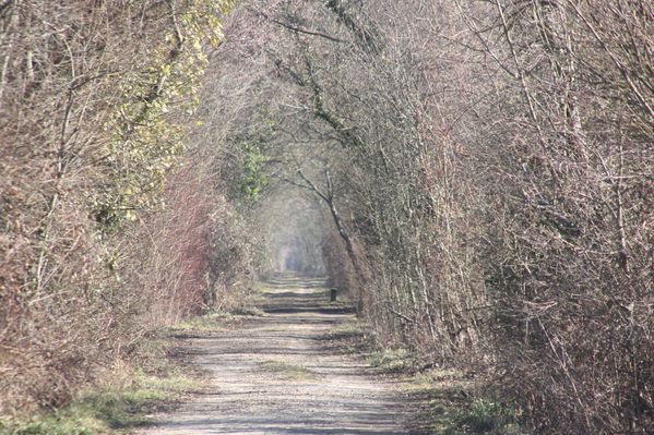 4638-La-reserve-naturelle-de-Bruges.jpg