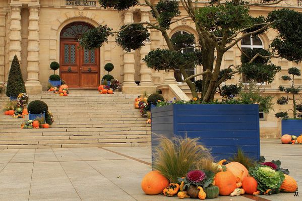 Entre Toussaint et Halloween 2