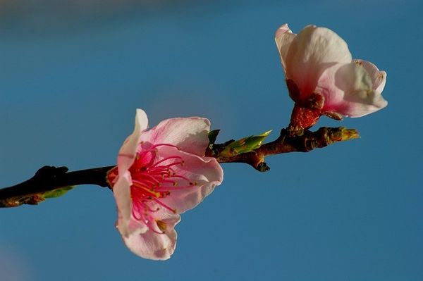 ZAIRE--Partie-3.jpg