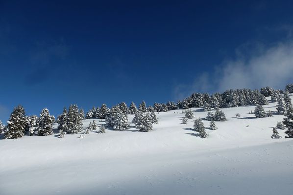 2014-03-02 Plaine de la Queyrie 026