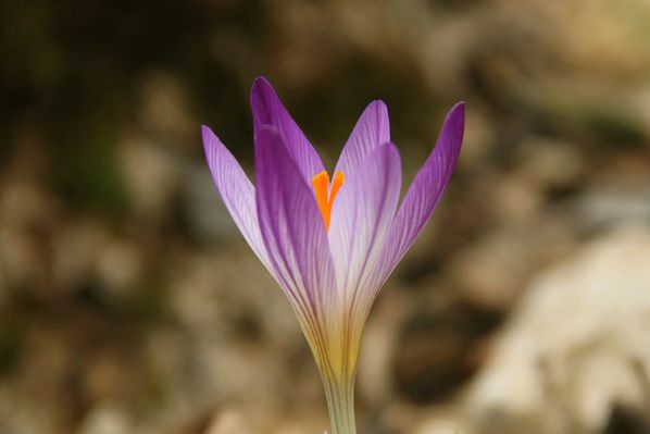 2014-03-15 002