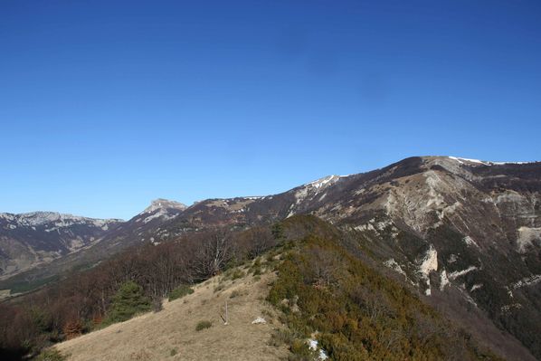 2015-01-11008