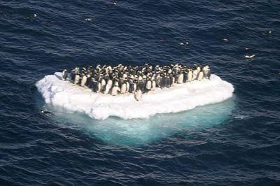 normal_du_monde_10-5B1-5D.jpg