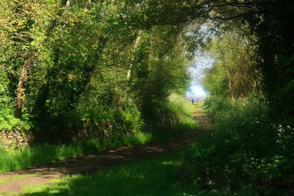 15-1-chemin de traverse