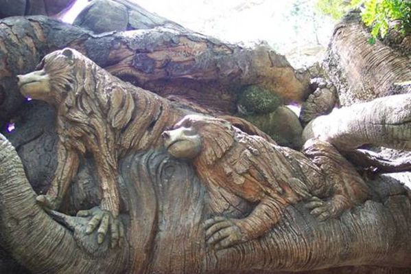 arbre-4.jpg