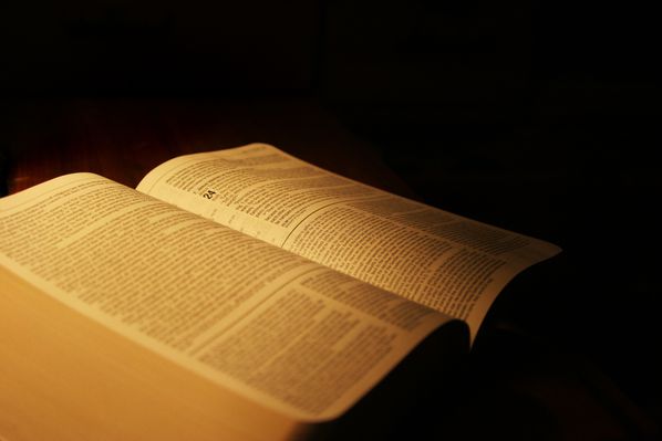 Bible (125)