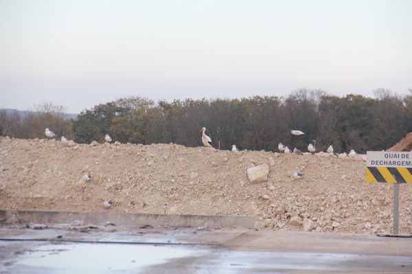 09-Novembre-2012 5171