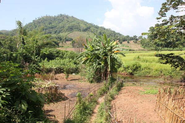 MYANMAR-2014 3440