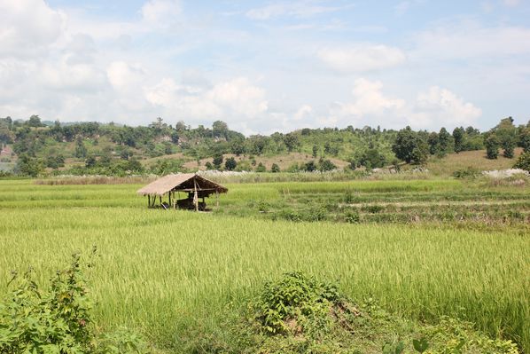 MYANMAR-2014 3493